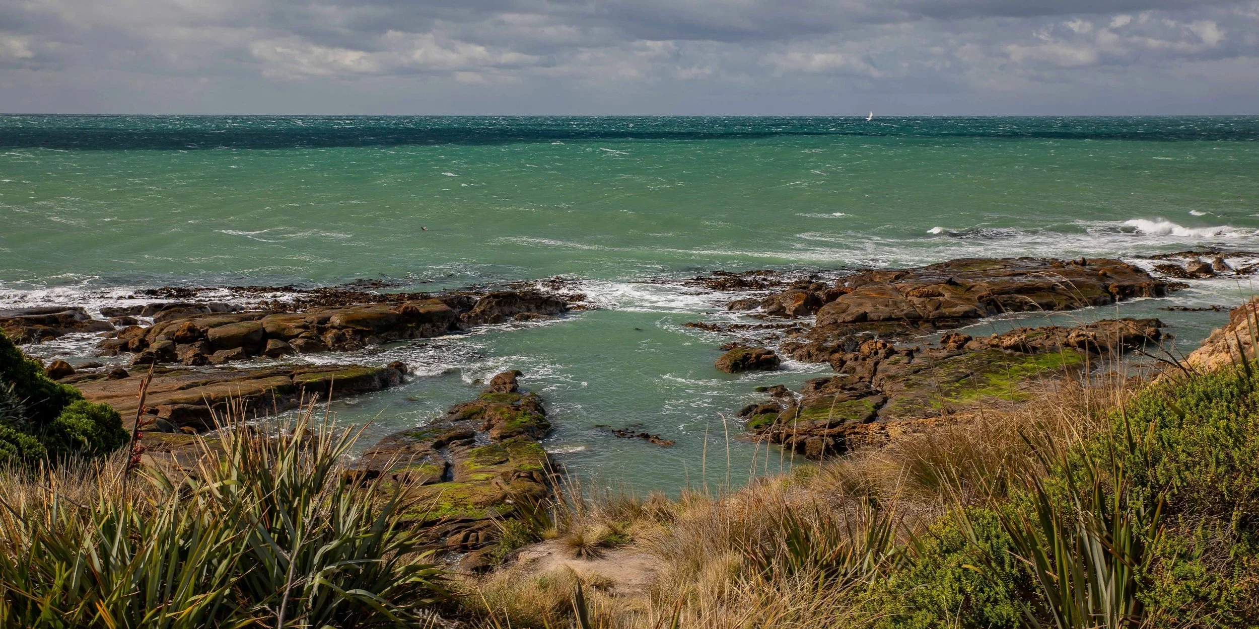 Shag Point,Matakaea Reserve,-292.JPG
