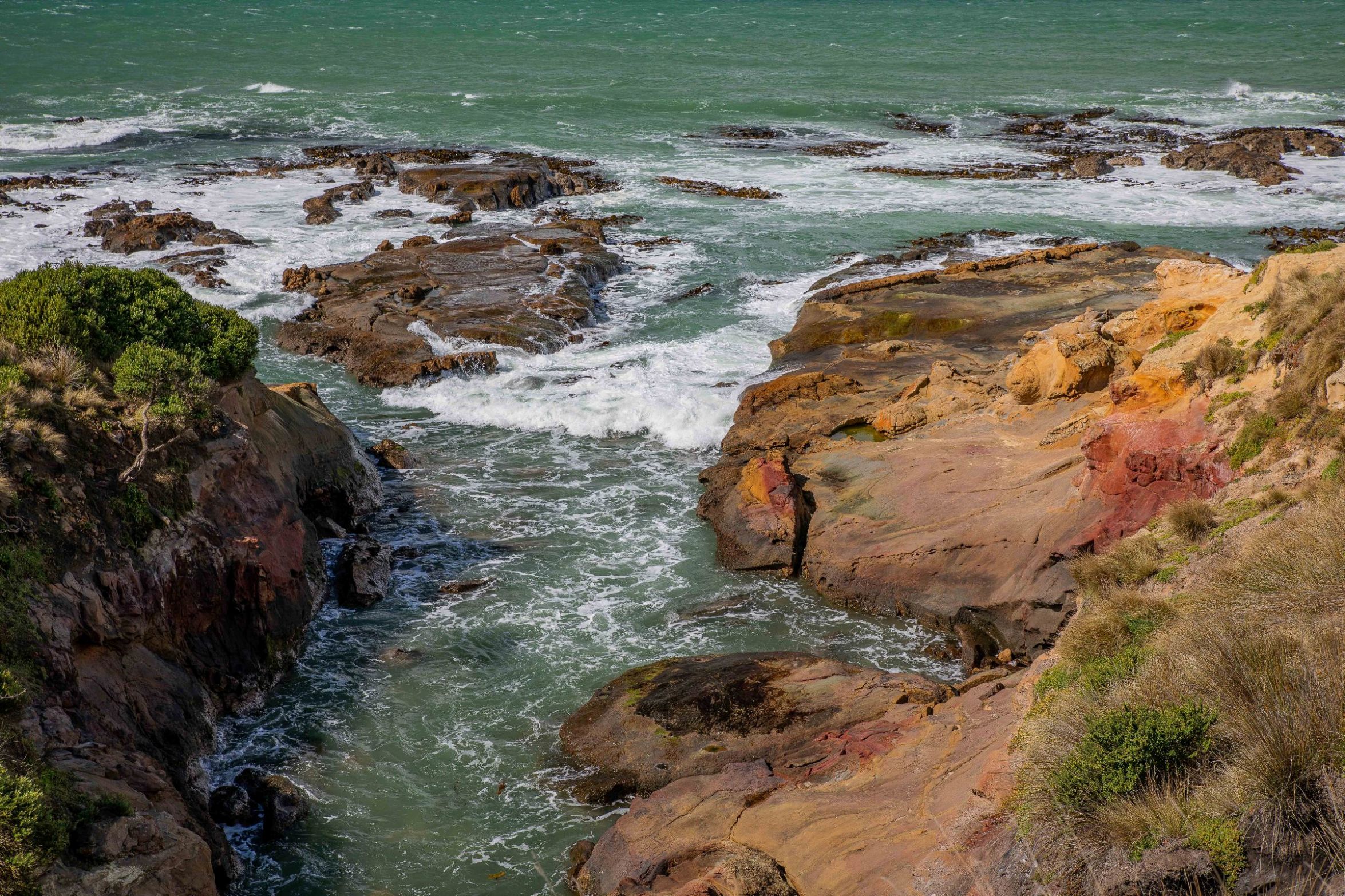 Shag Point,Matakaea Reserve,-294.JPG