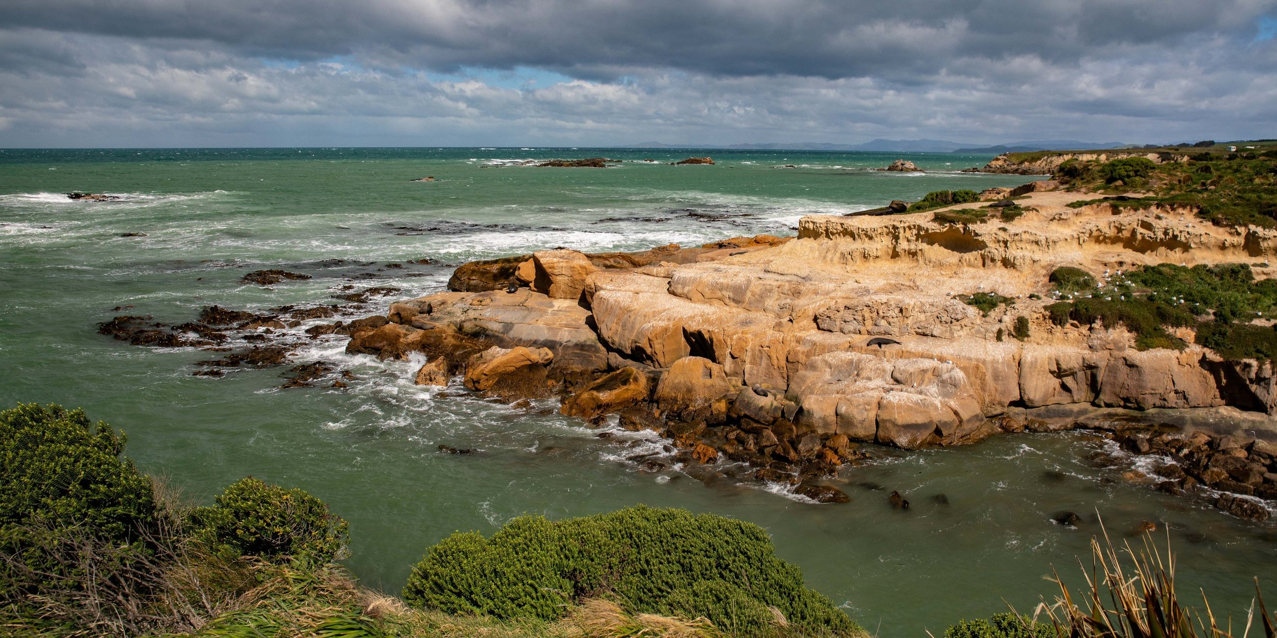 Shag Point,Matakaea Reserve,-295.JPG