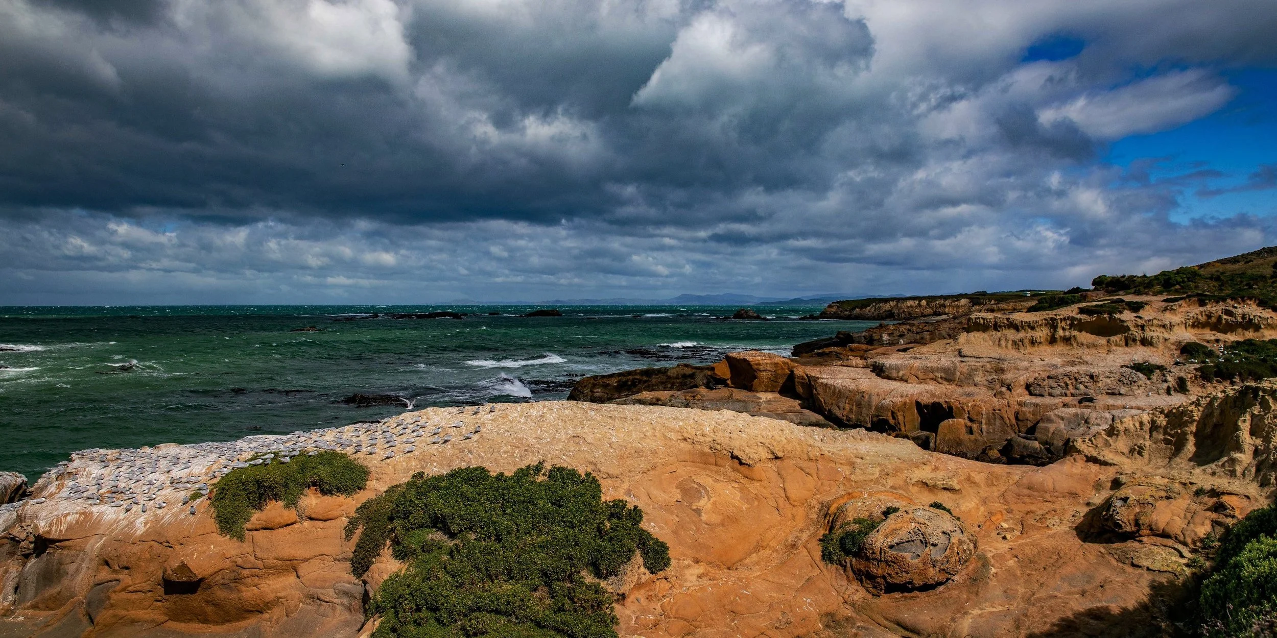 Shag Point,Matakaea Reserve,-302.JPG