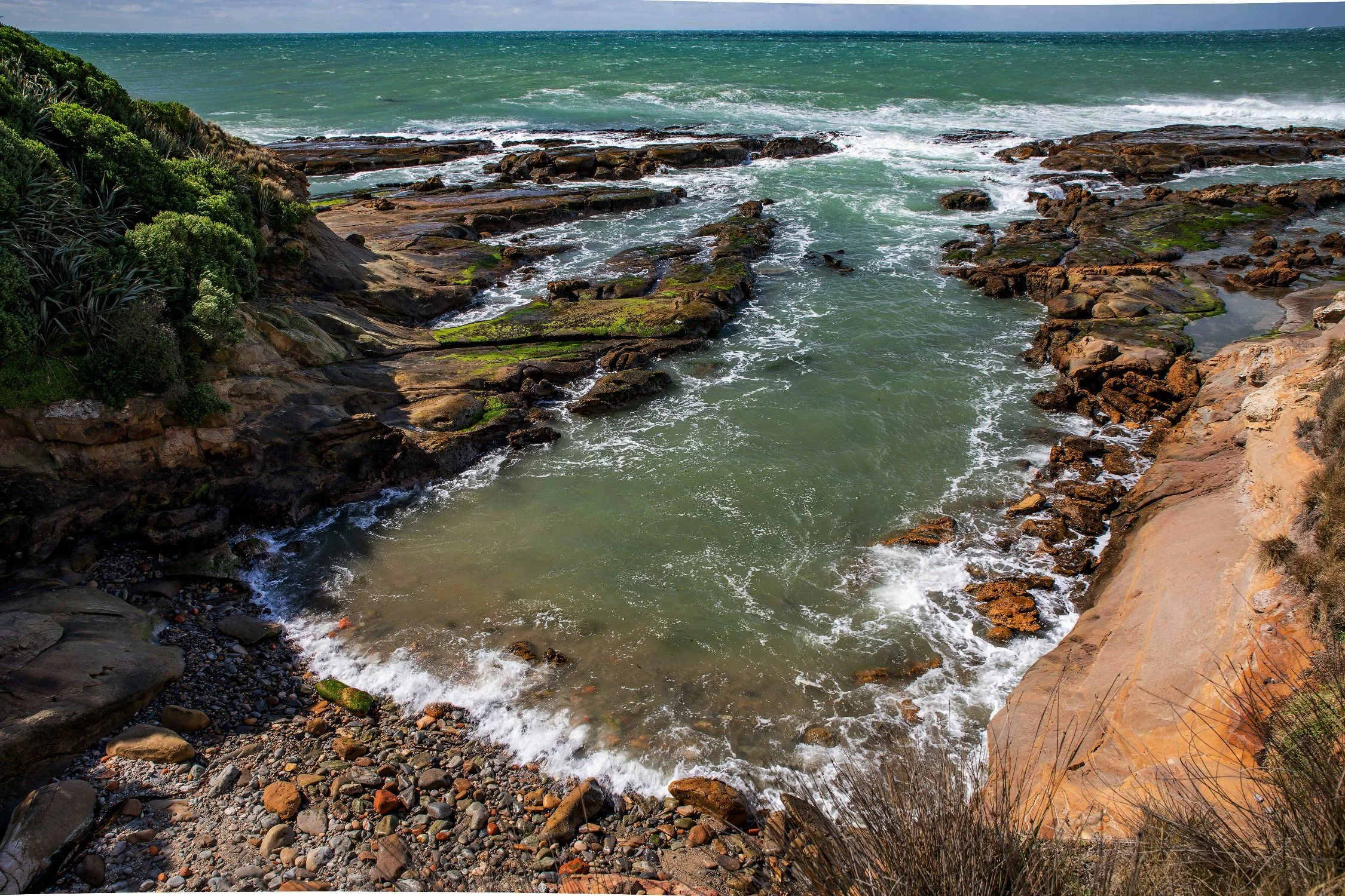 Shag Point,Matakaea Reserve,-308.JPG
