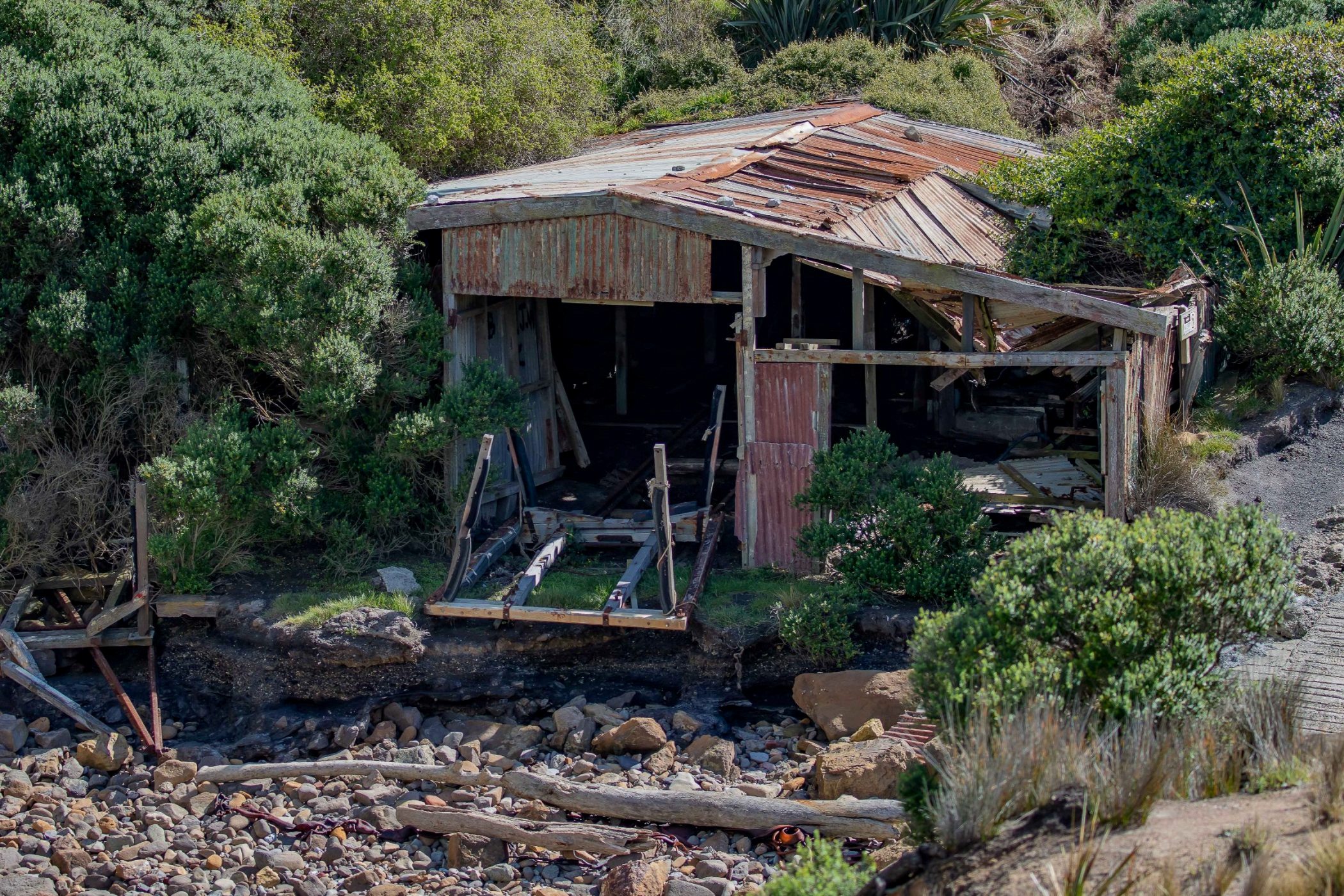 Shag Point,Matakaea Reserve,-1149.JPG