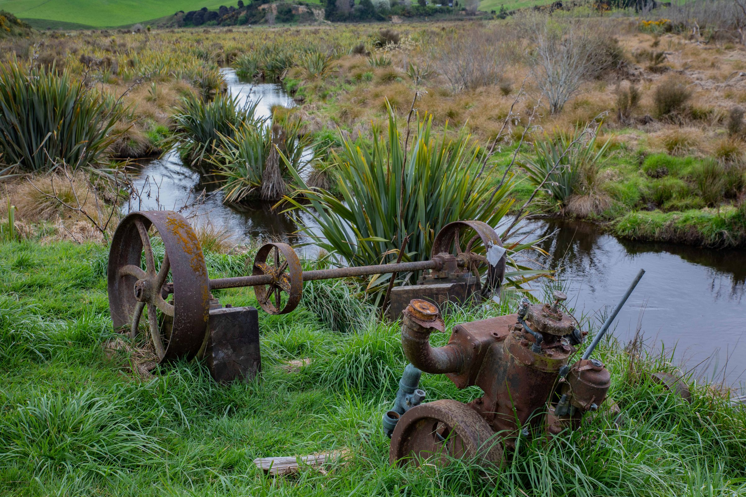 Sinclair Wetlands,-758.JPG