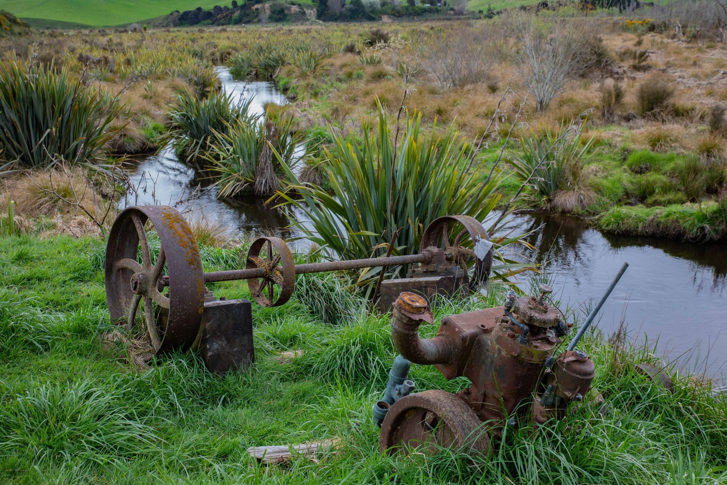 Sinclair Wetlands,-758.JPG