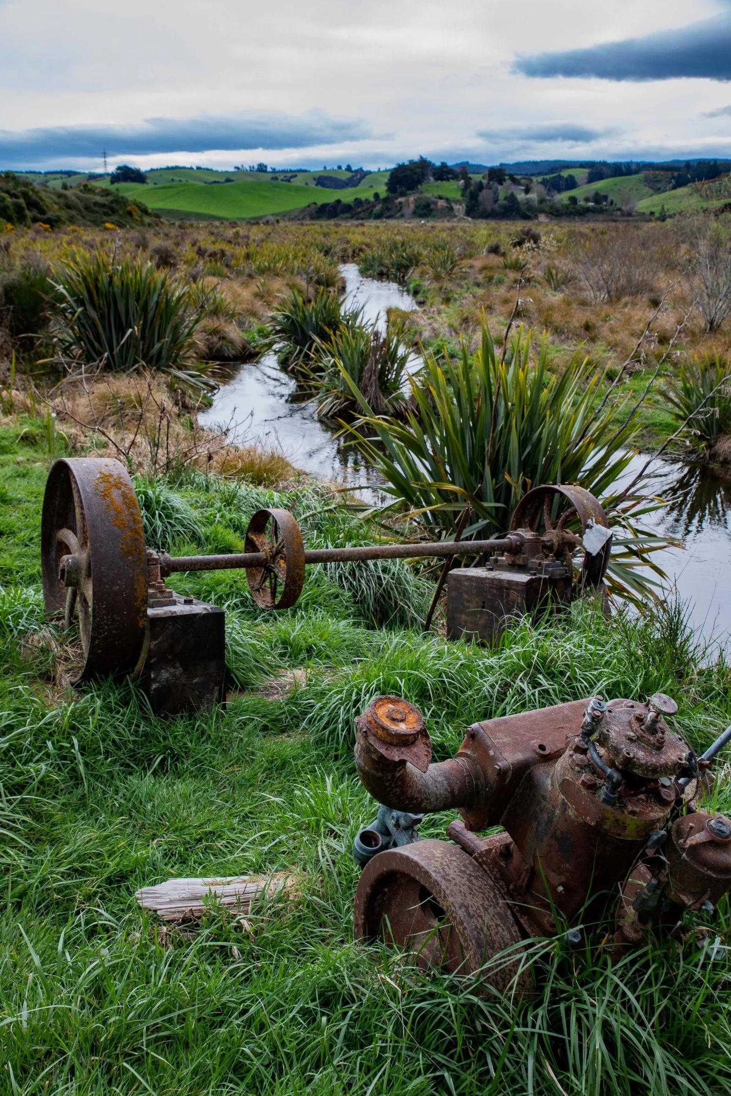 Sinclair Wetlands,-763.JPG