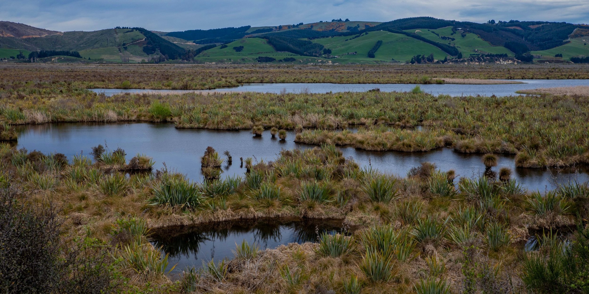 Sinclair Wetlands,-765.JPG