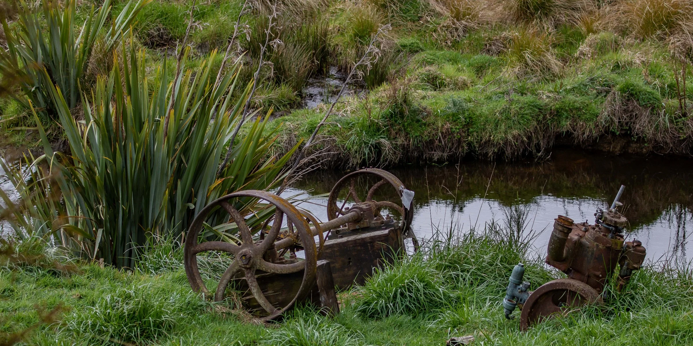 Sinclair Wetlands,-2175.JPG