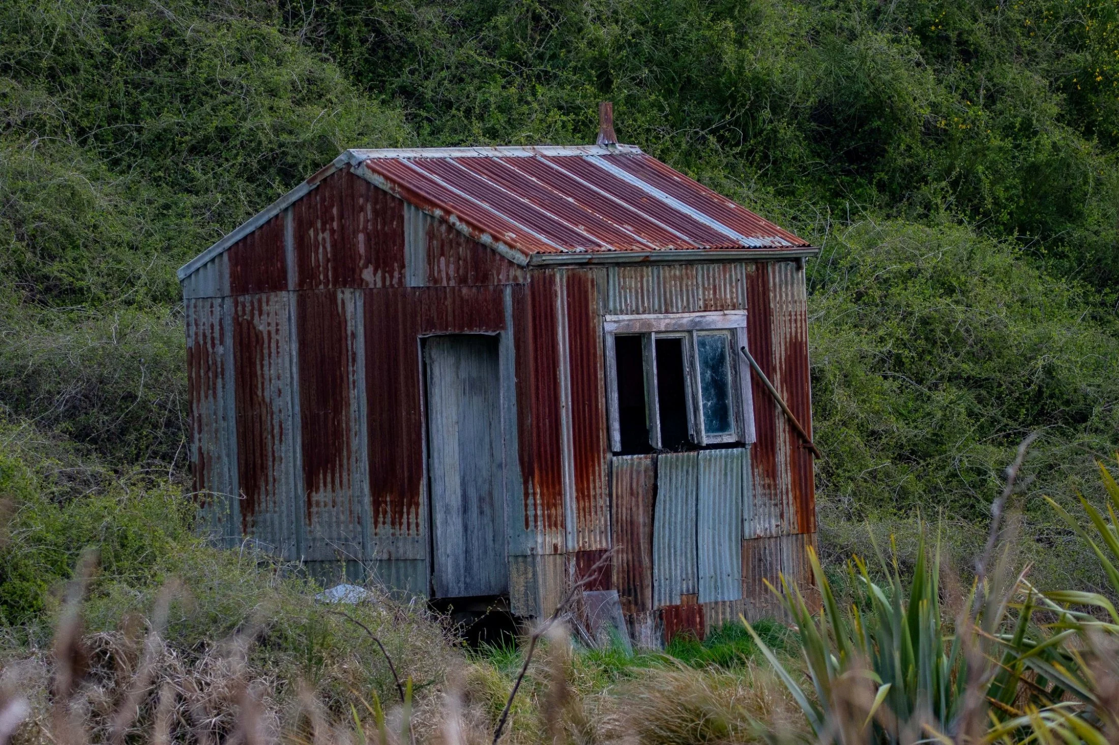 Sinclair Wetlands,-2177.JPG
