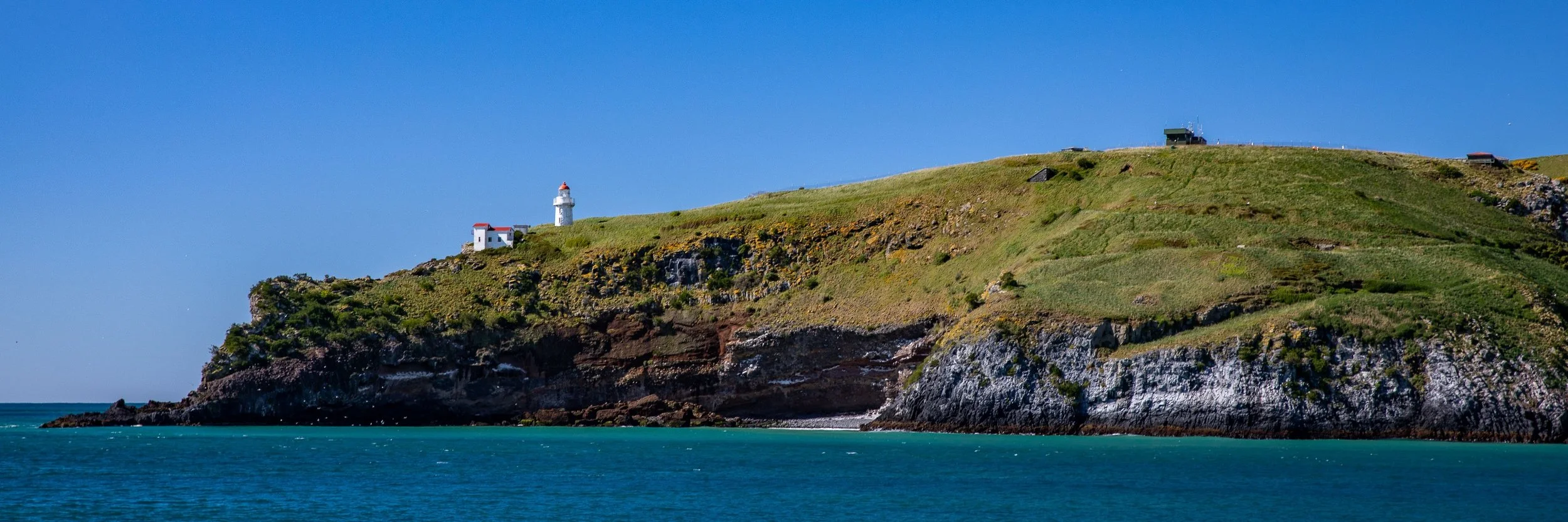 Taiaroa Head,-123.JPG