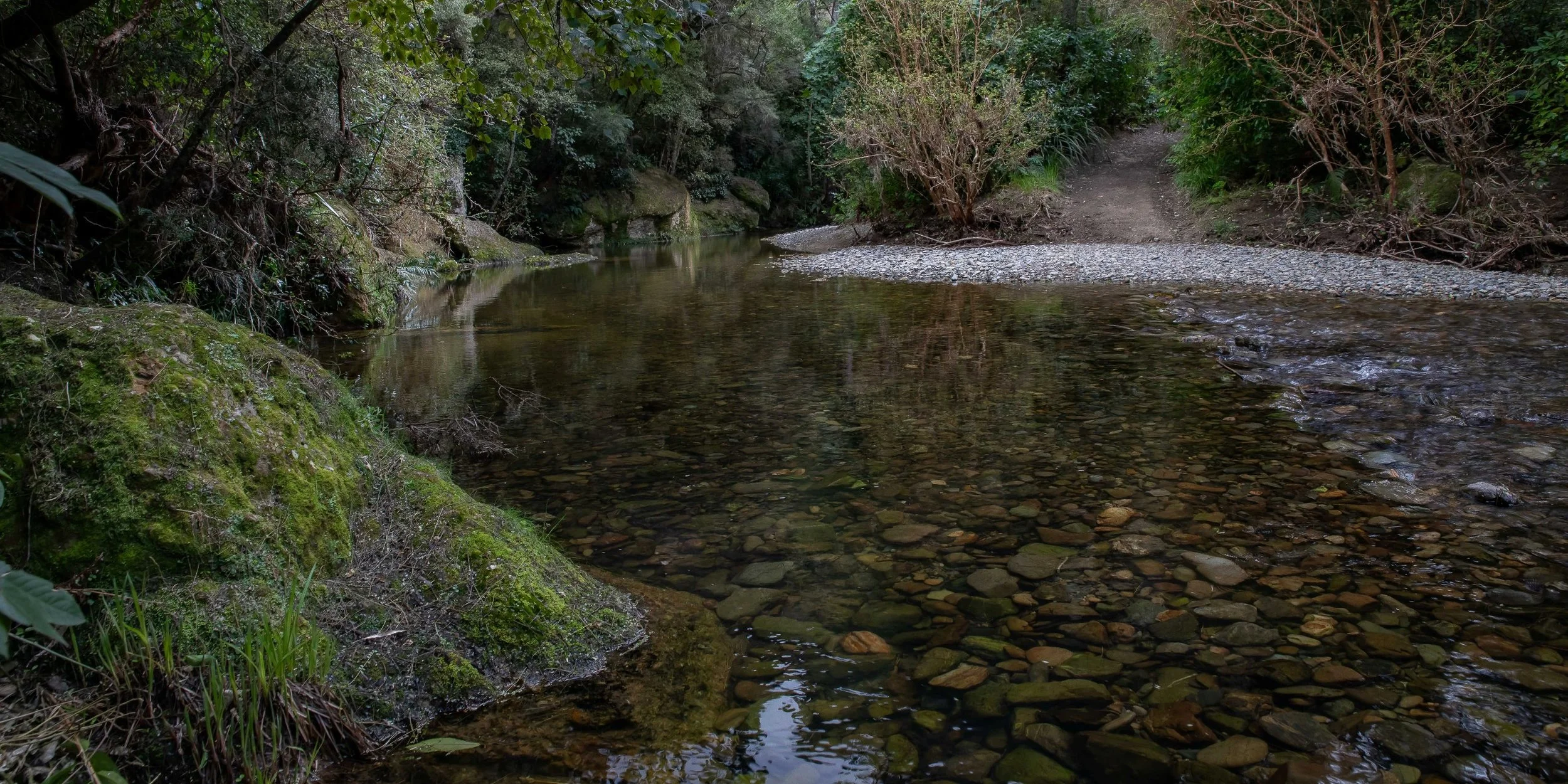 Trotters Gorge,-259.JPG