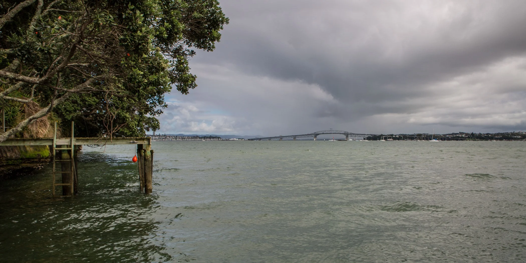 Auckland Harbour,d-4796.jpg