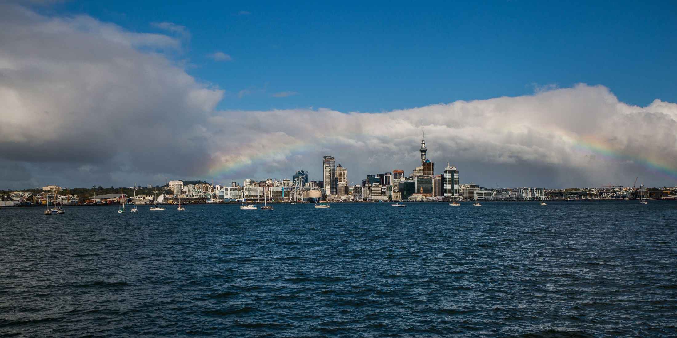 Auckland,d-4776.jpg