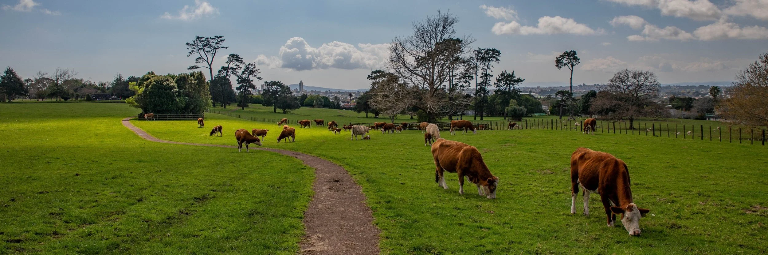 Cornwall Park,-168.JPG