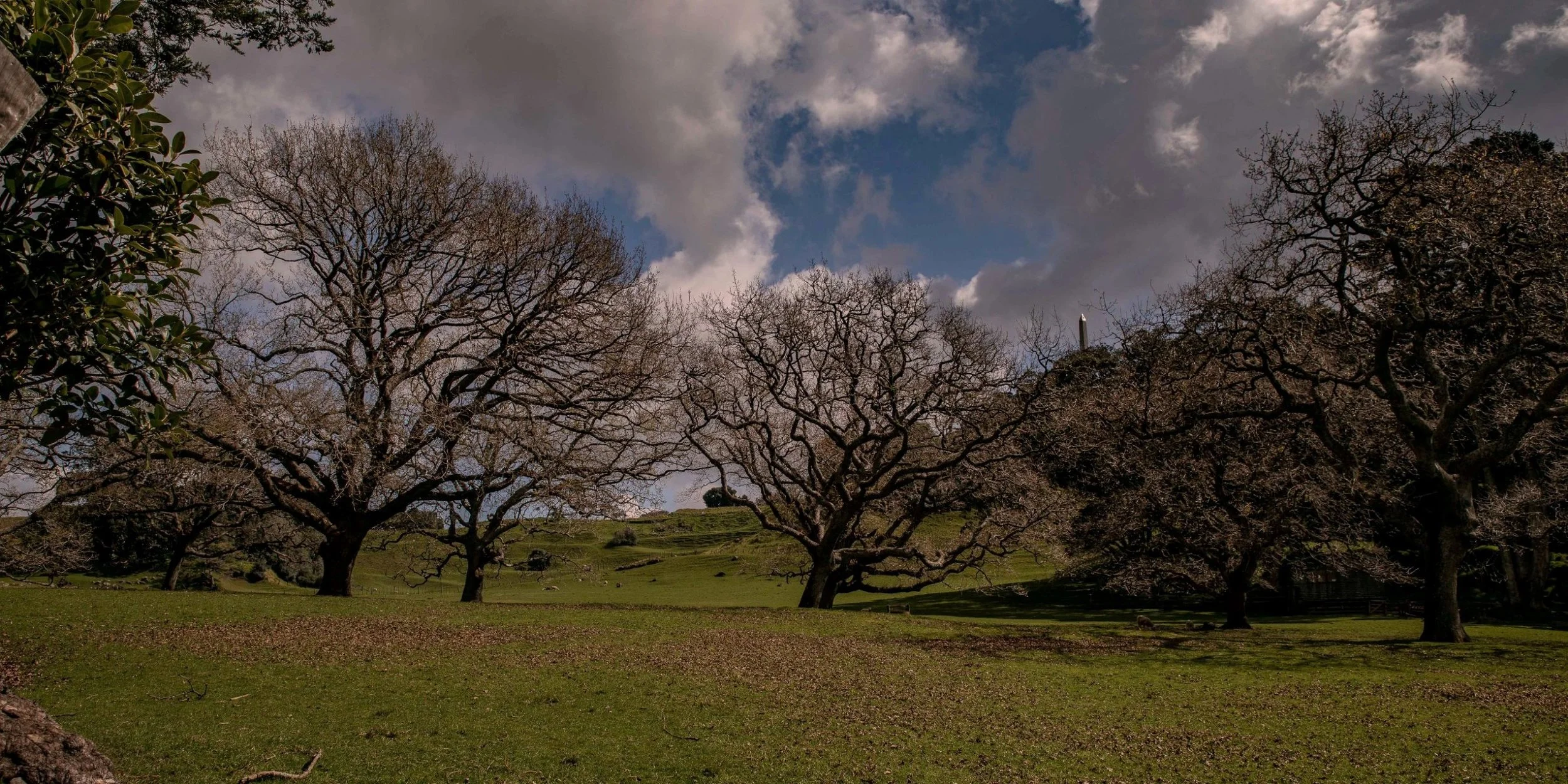 Cornwall Park,-182.JPG