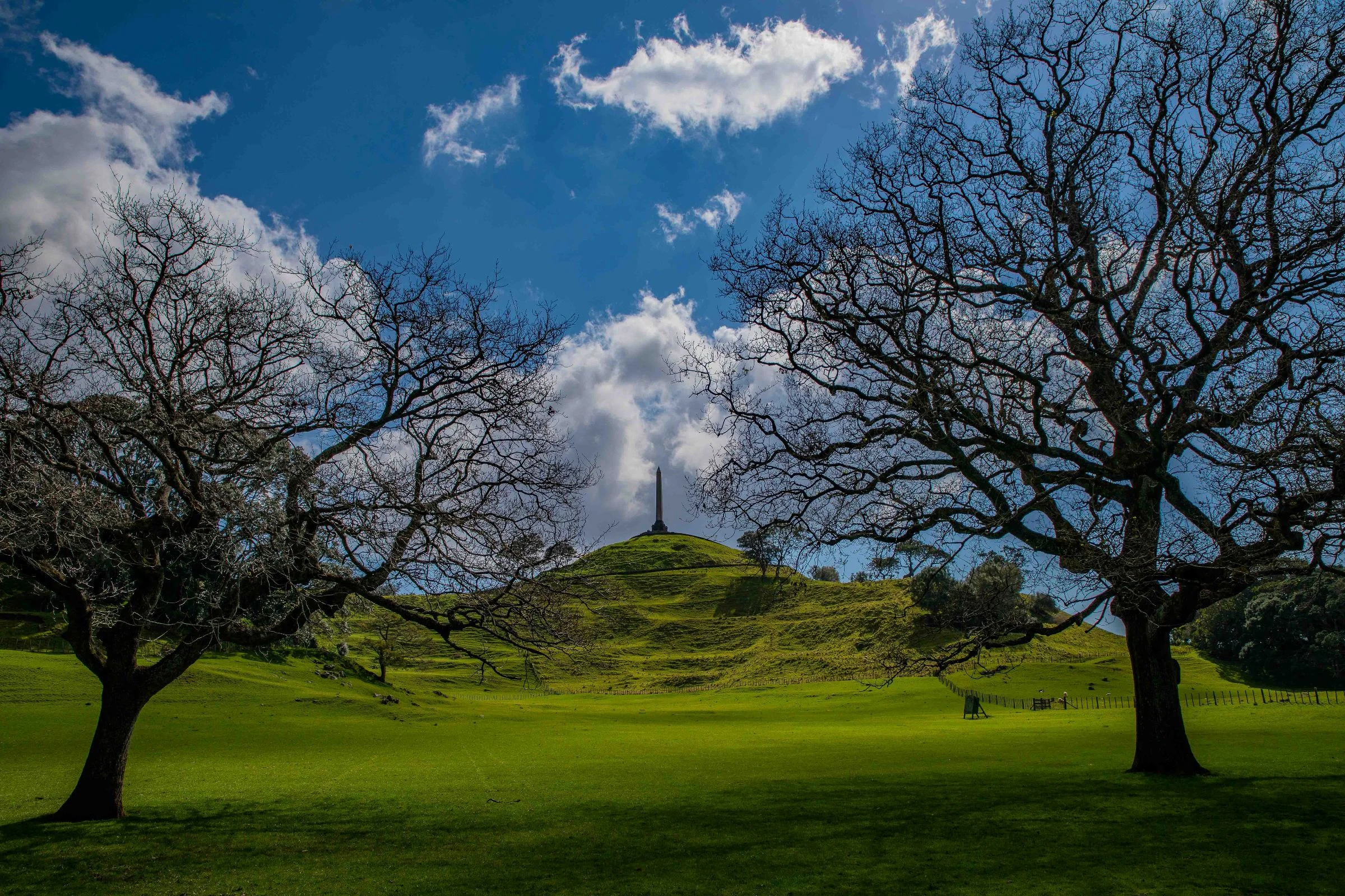 Cornwall Park,-187.JPG