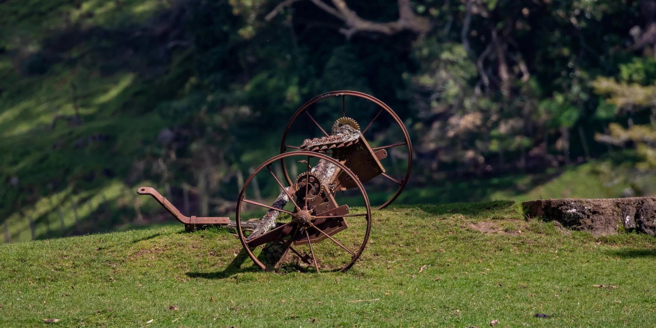 Cornwall Park,-1105.JPG