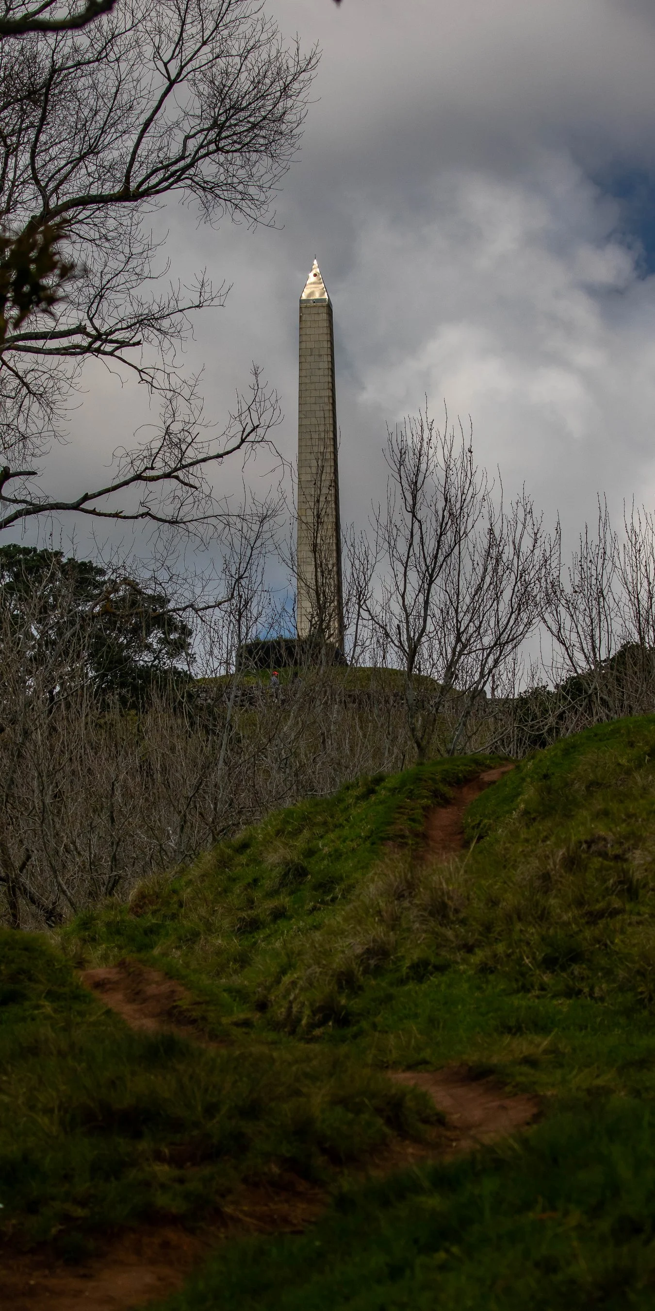 Cornwall Park,-1161.JPG