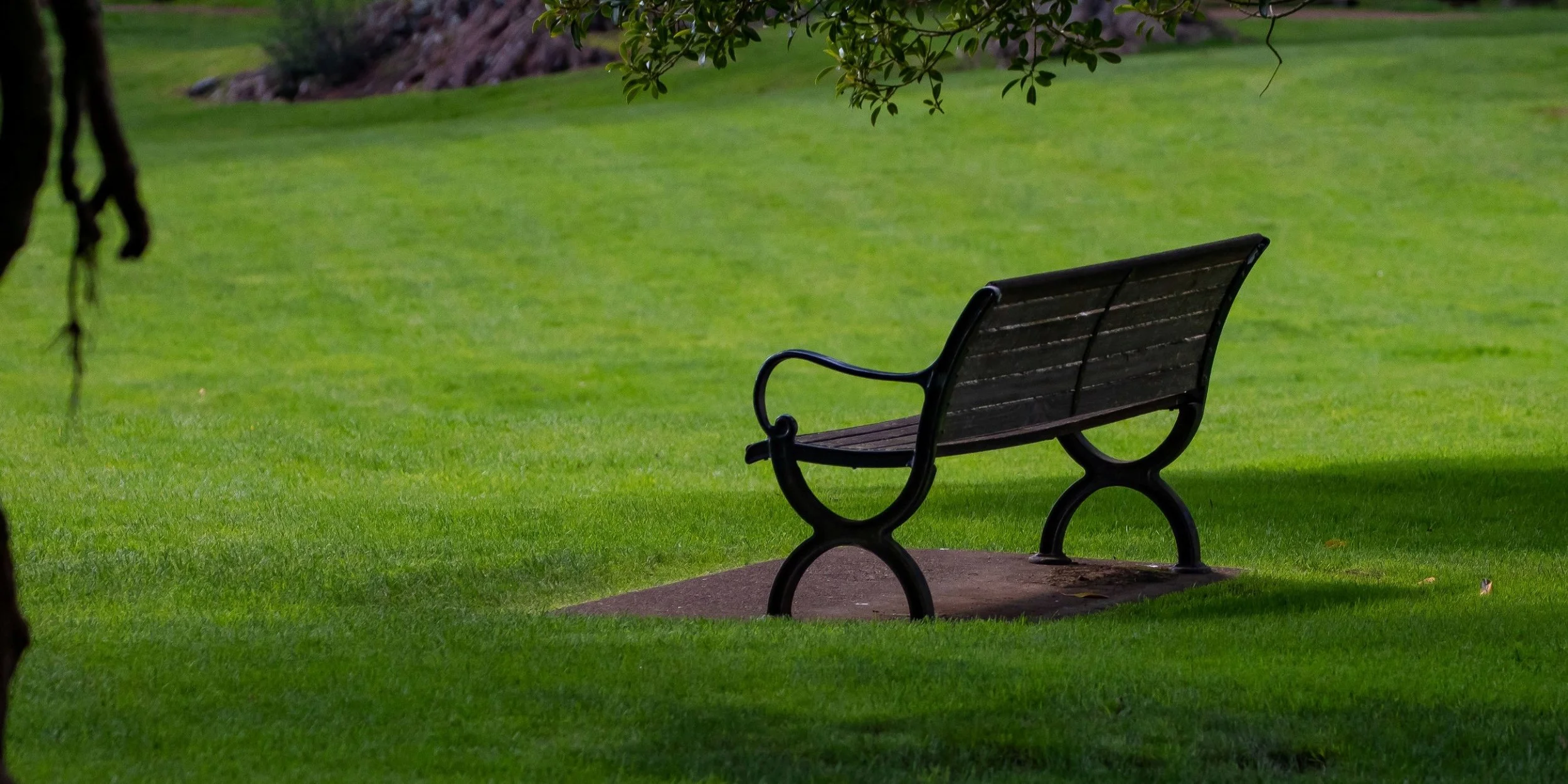 Cornwall Park,-1177.JPG