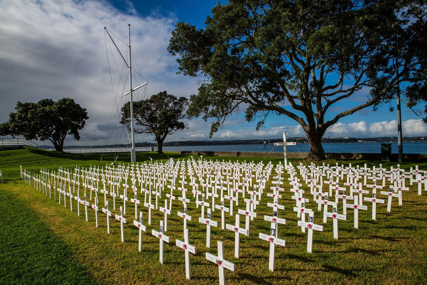 Devonport,Field of Remembrance,d-4745.jpg