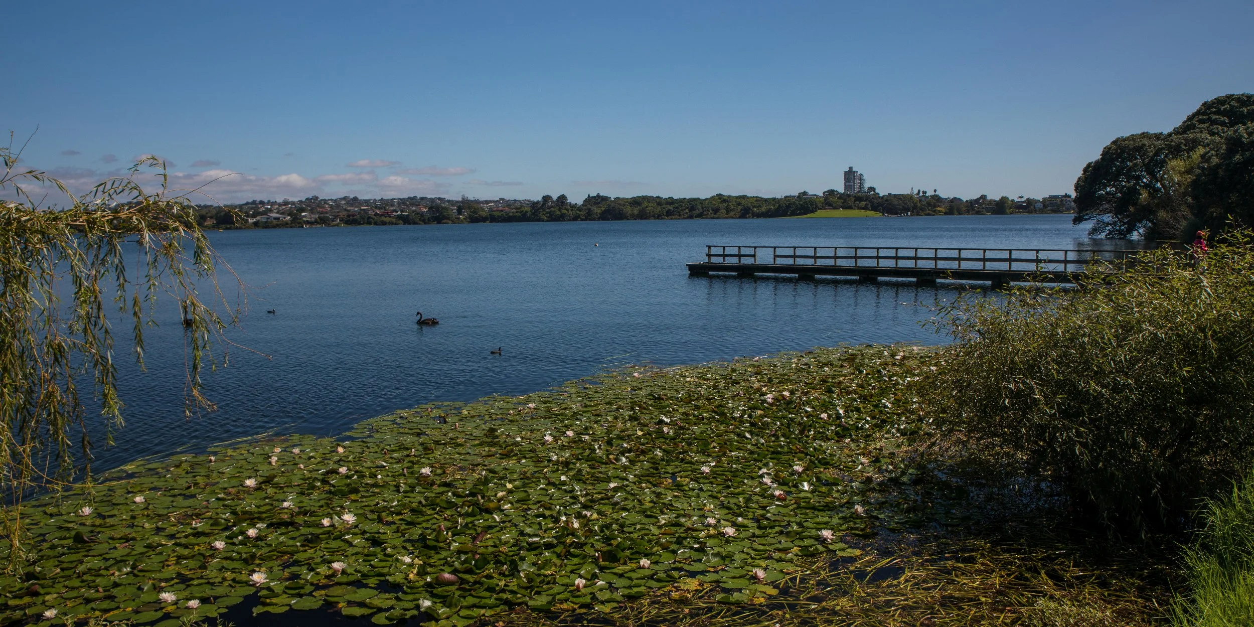 Lake Pupuke,-175.JPG