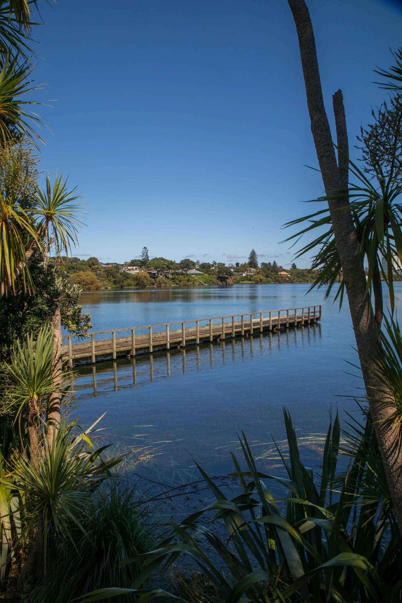Lake Pupuke,-192.JPG