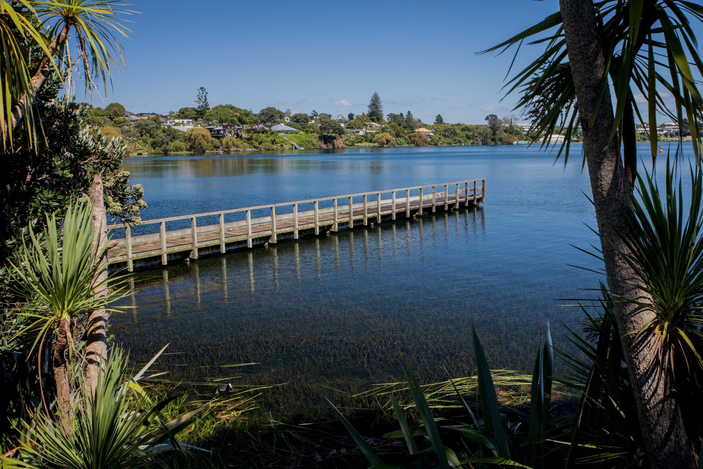 Lake Pupuke,-194.JPG