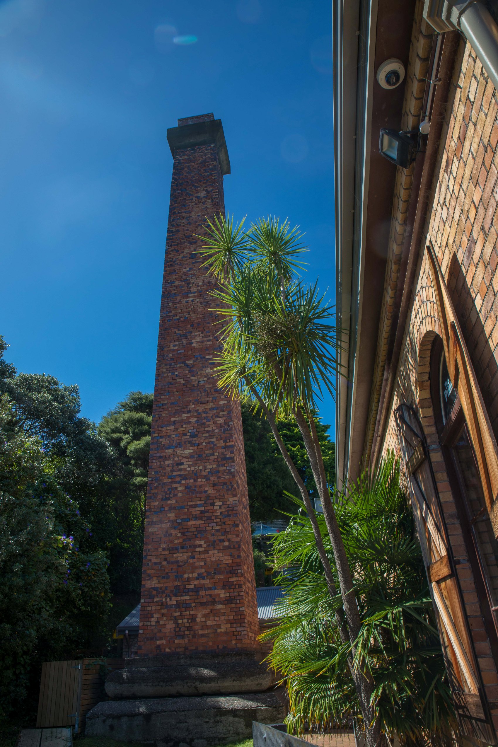 Lake Pupuke,-204.JPG