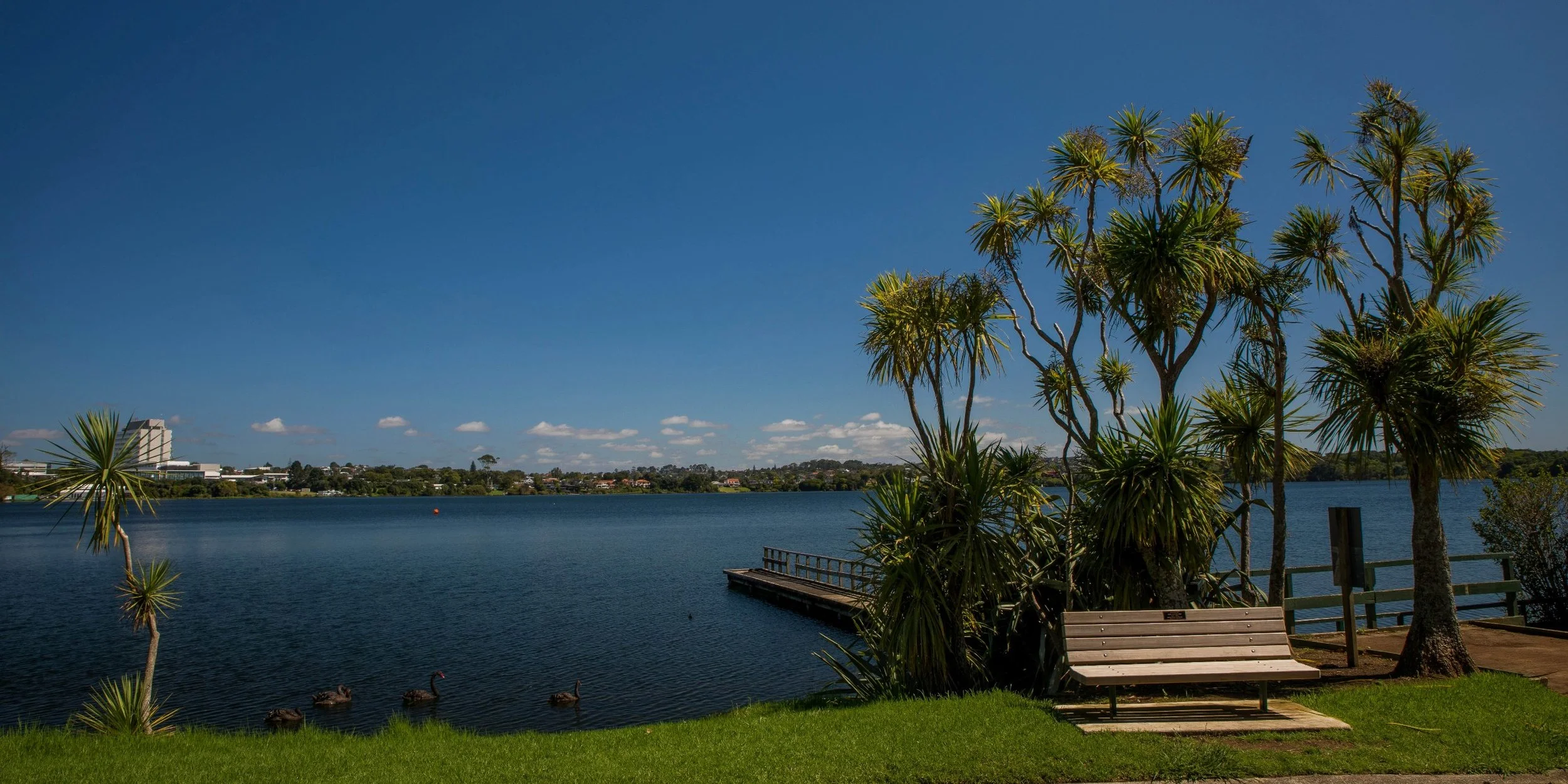 Lake Pupuke,-206.JPG