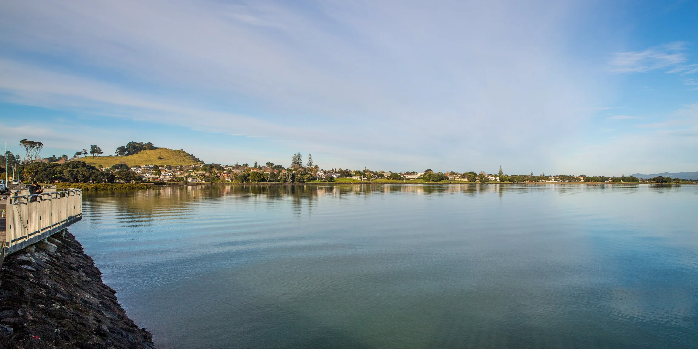 Mangere Bridge,-6092.JPG
