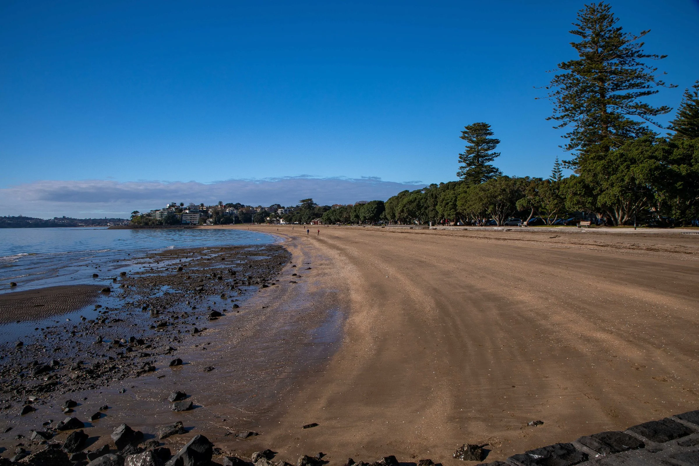 Mission Bay,-028.JPG