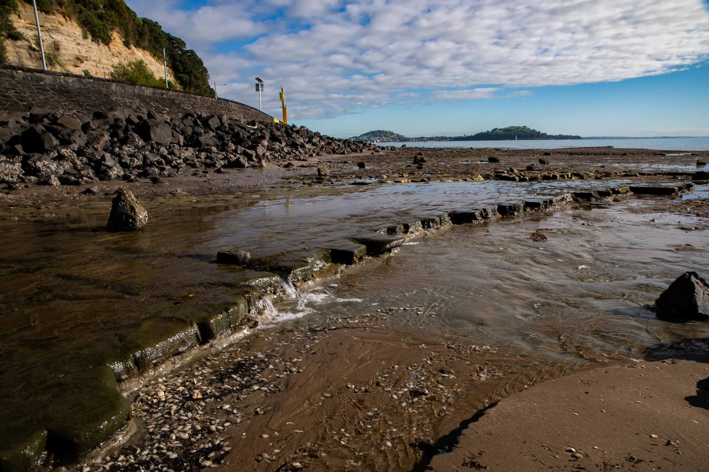 Mission Bay,-033.JPG