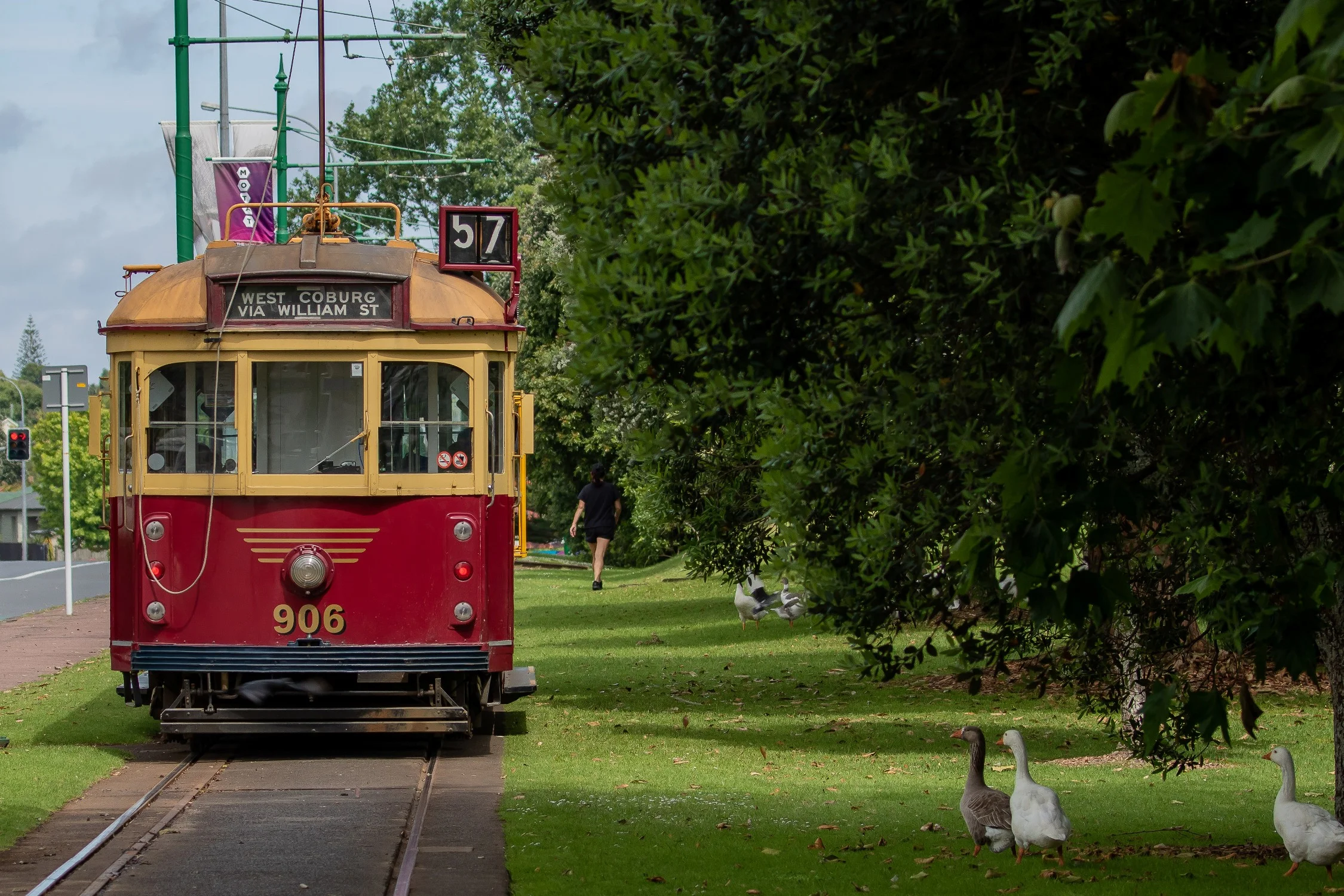 Western Springs,-001.JPG