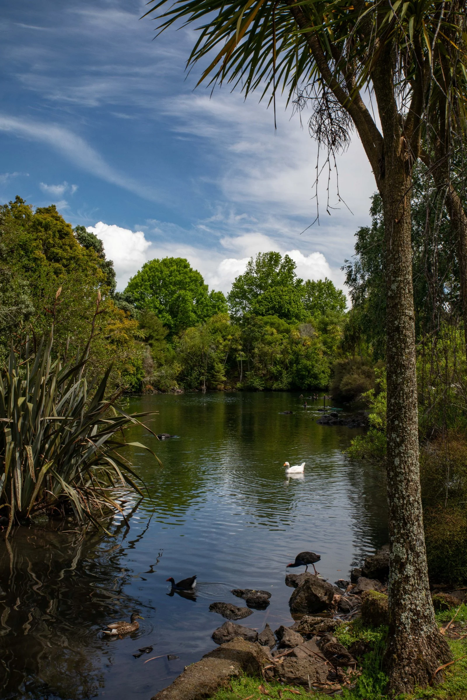 Western Springs,-435.JPG