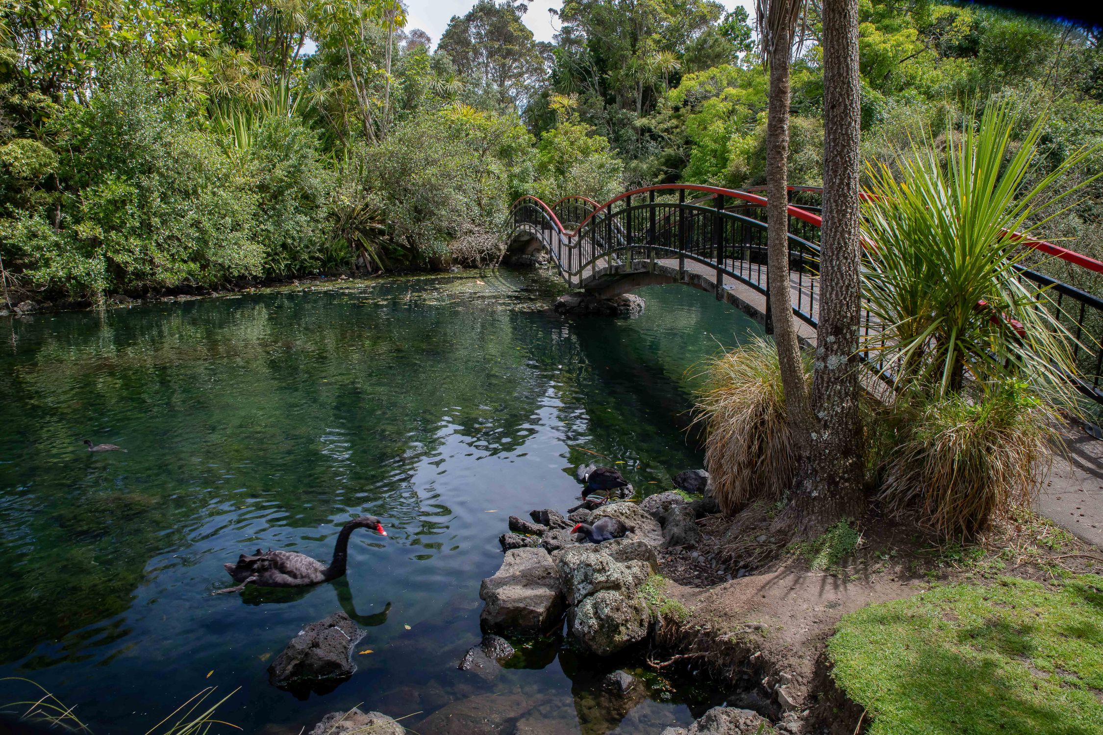 Western Springs,-436.JPG