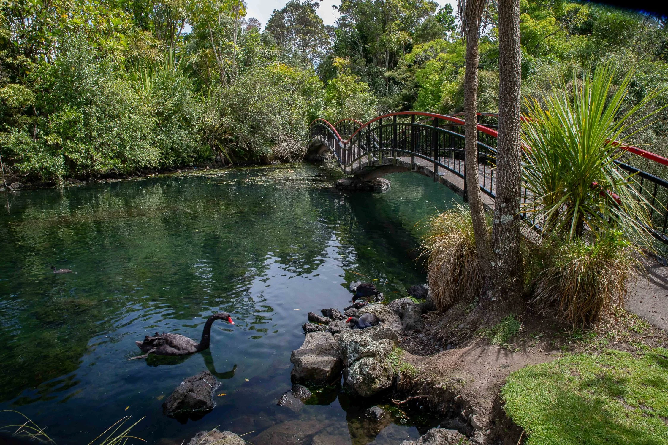 Western Springs,-436.JPG