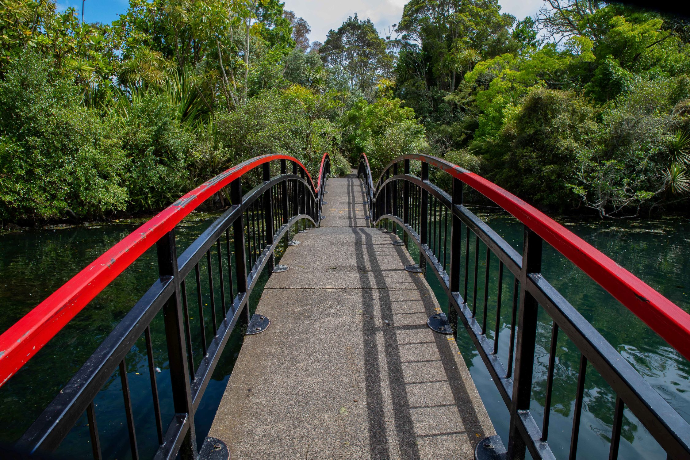 Western Springs,-437.JPG