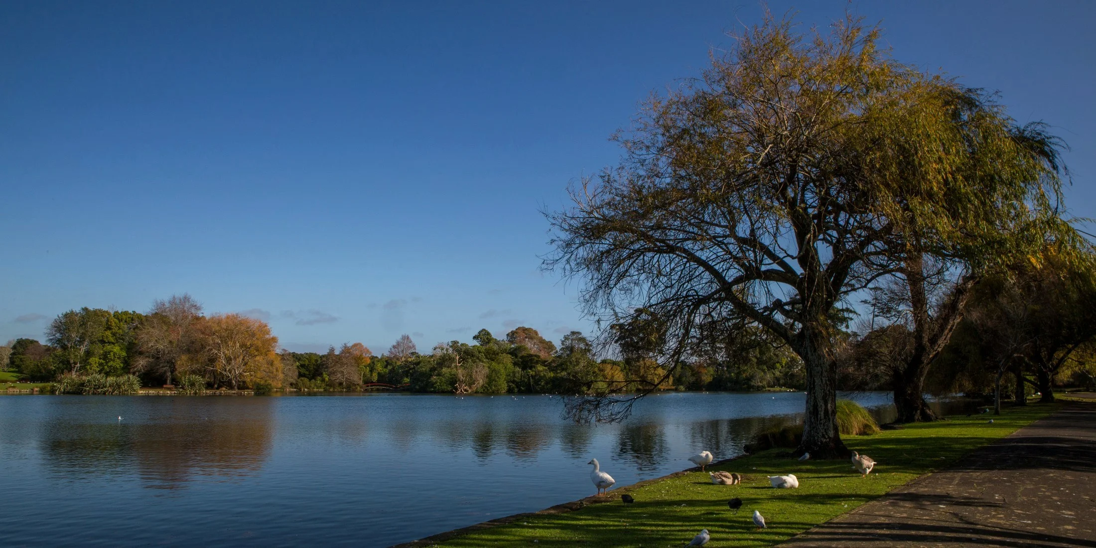 Western Springs,d-5481.jpg