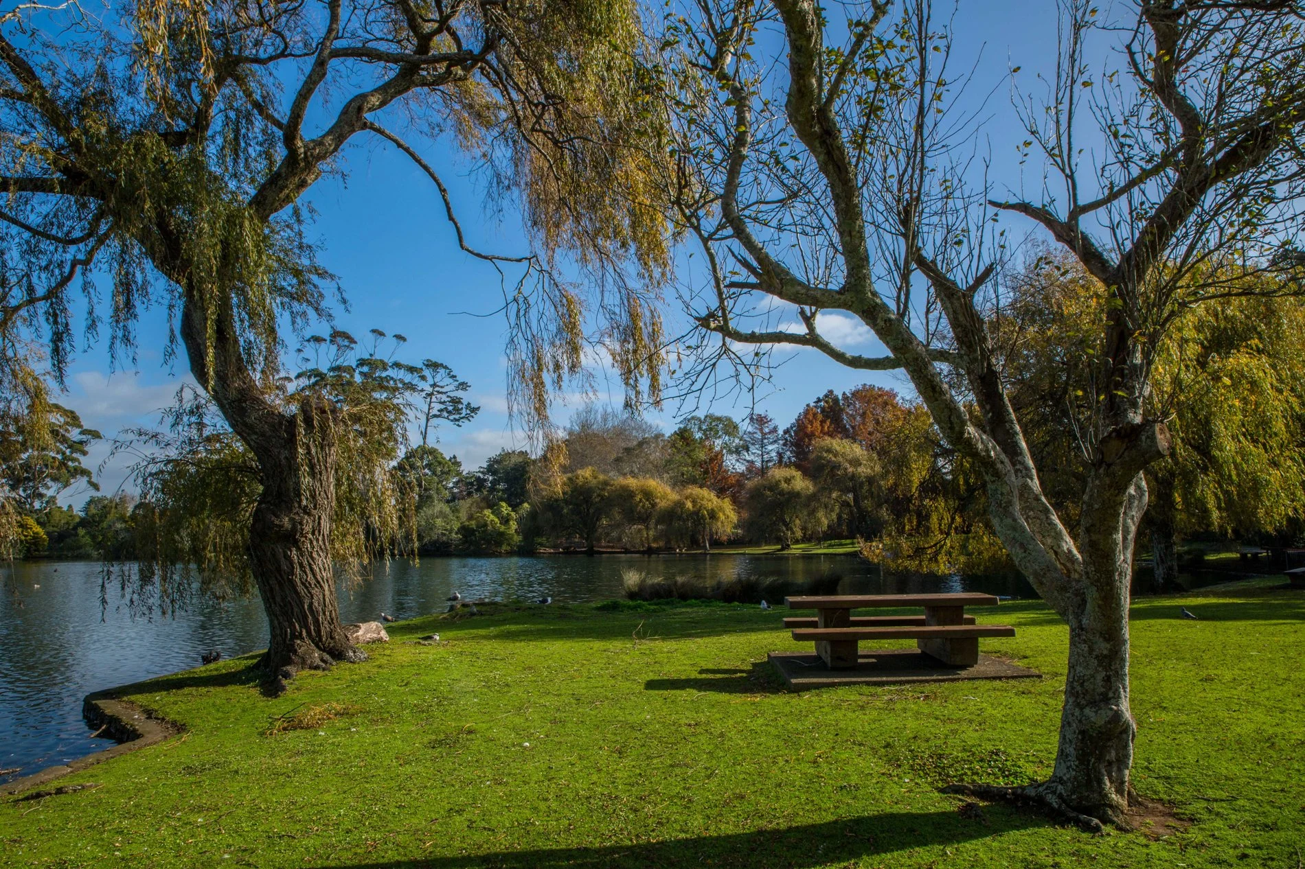 Western Springs,d-5489.jpg