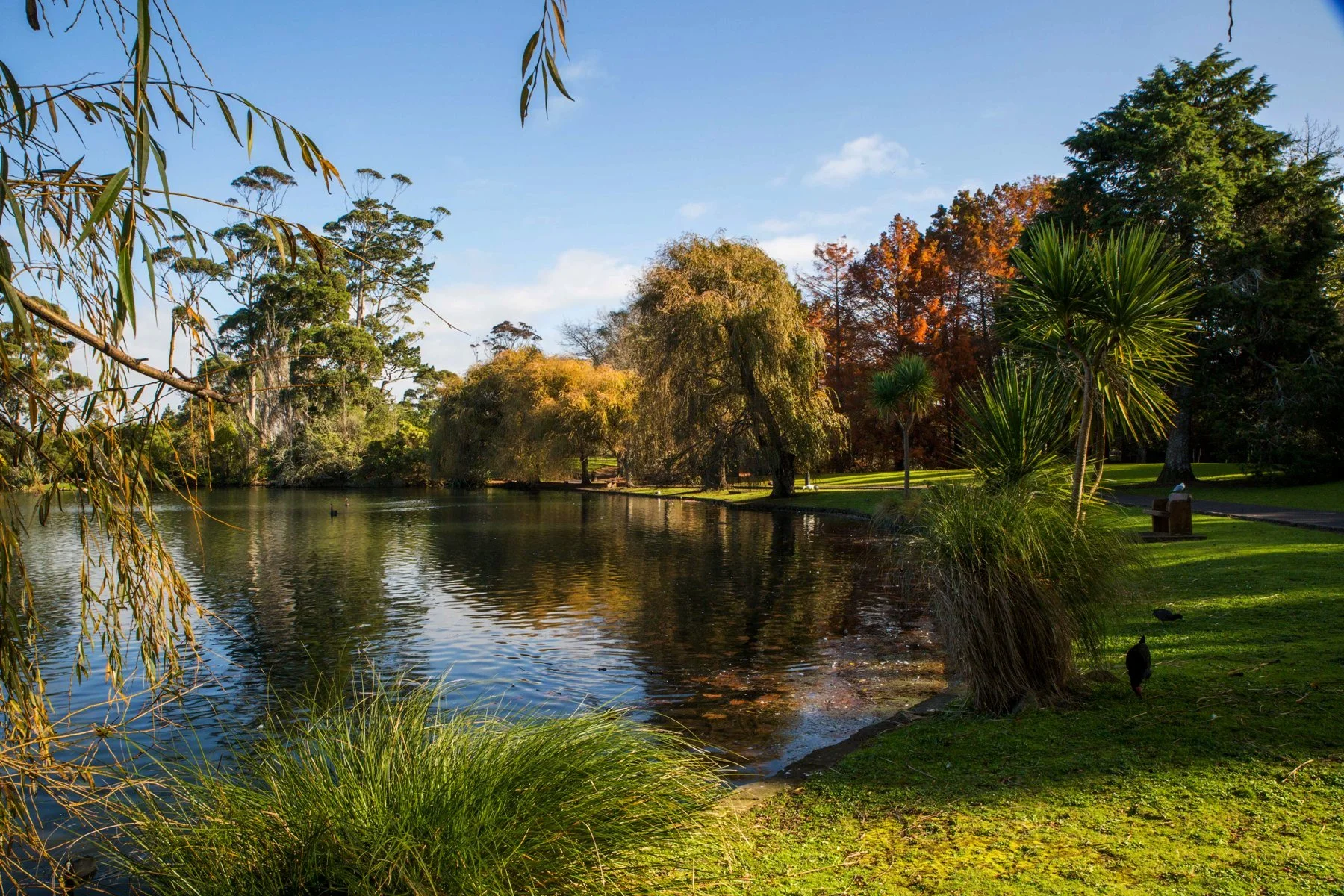 Western Springs,d-5490.jpg