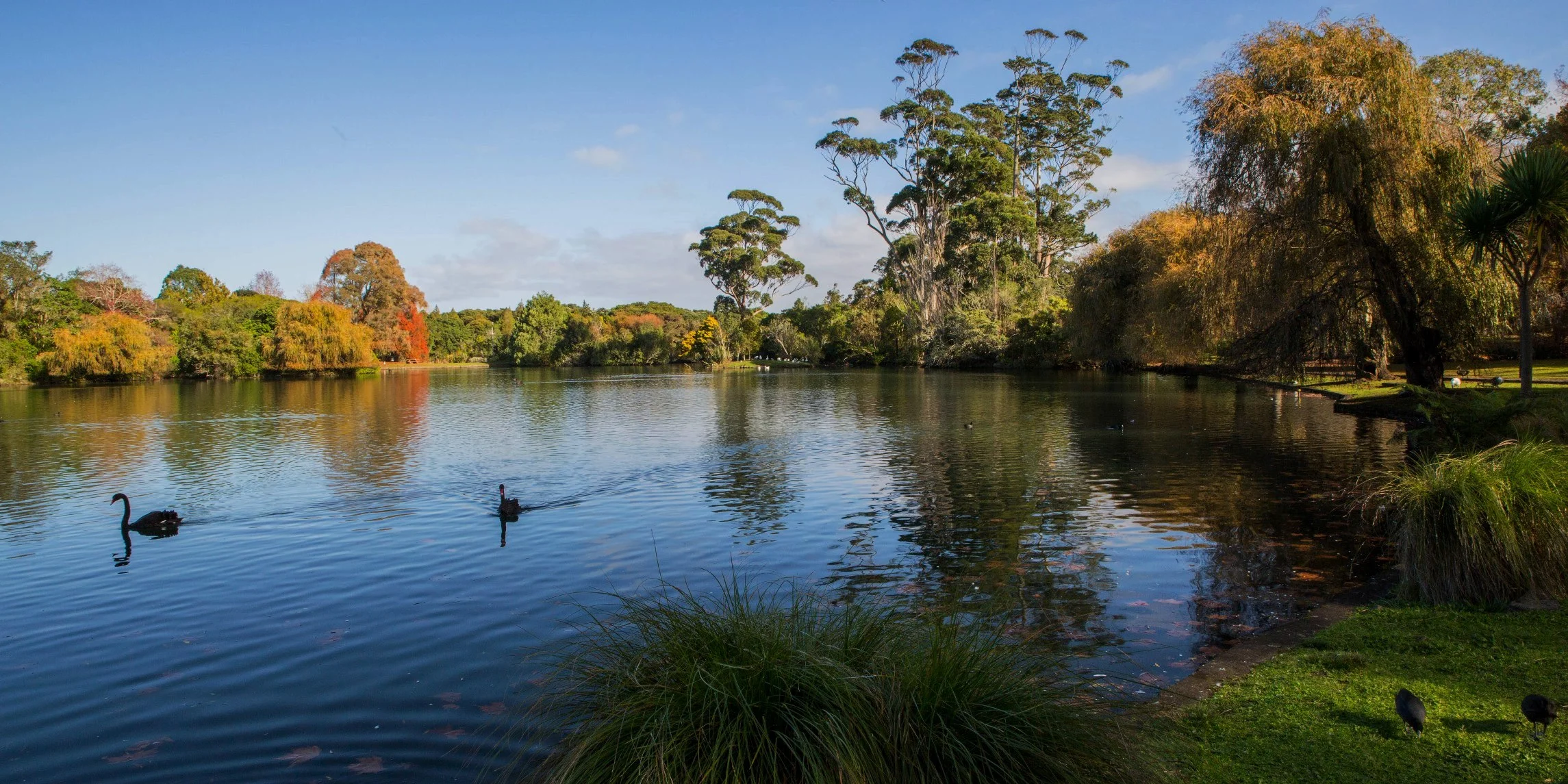 Western Springs,d-5492.jpg