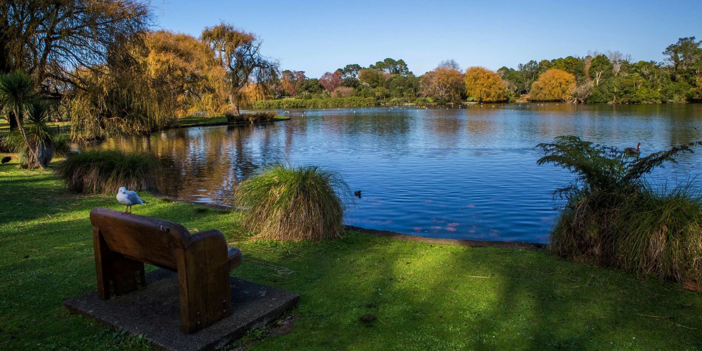 Western Springs,d-5494.jpg