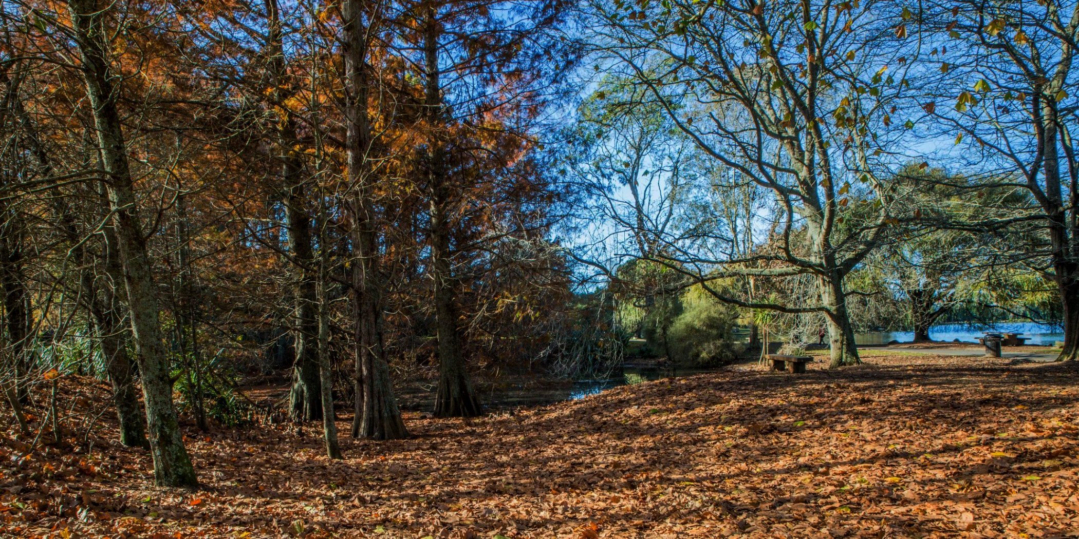 Western Springs,d-5499.jpg