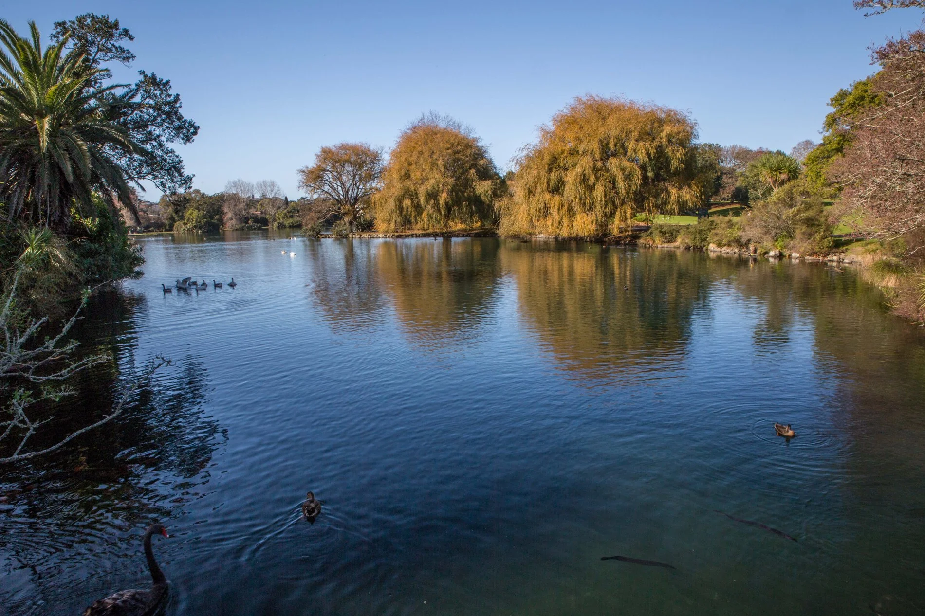 Western Springs,d-5522.jpg