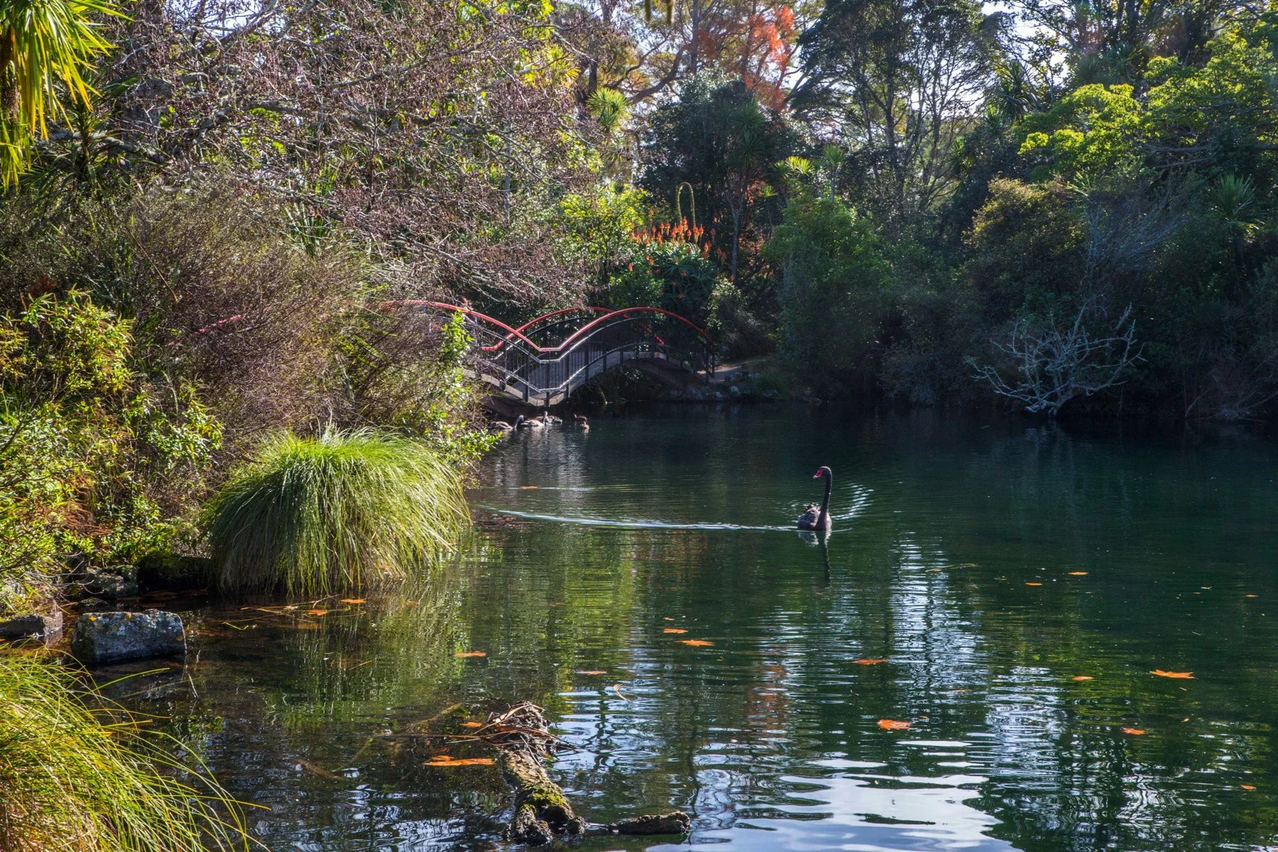 Western Springs,d-5534.jpg