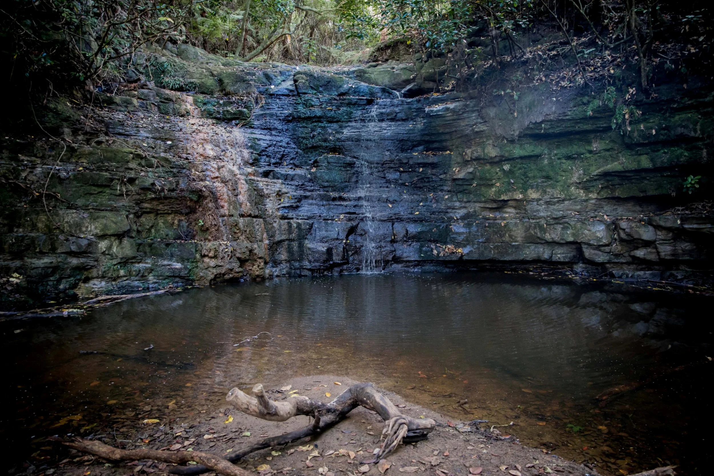 Shakespear Regional Park Waterfall,-132.JPG