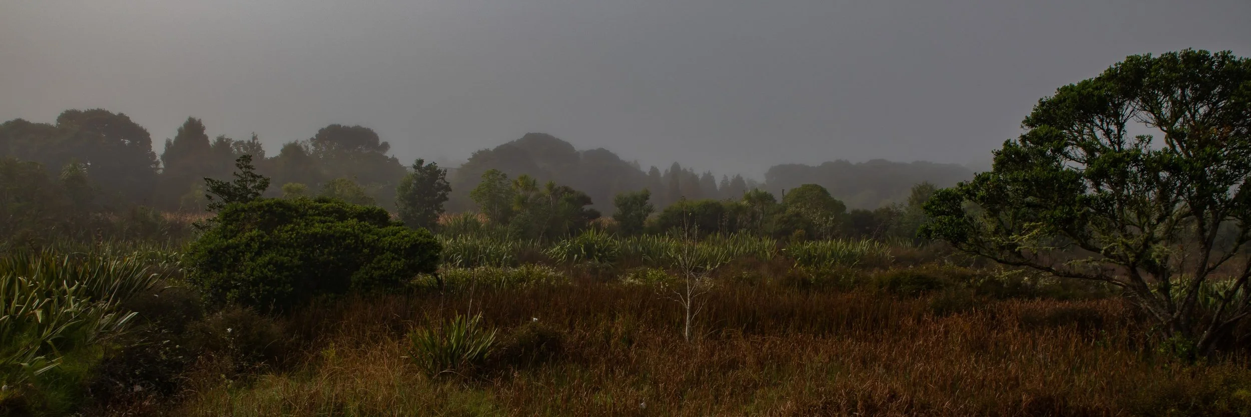 Shakespear Regional Park,-002.JPG