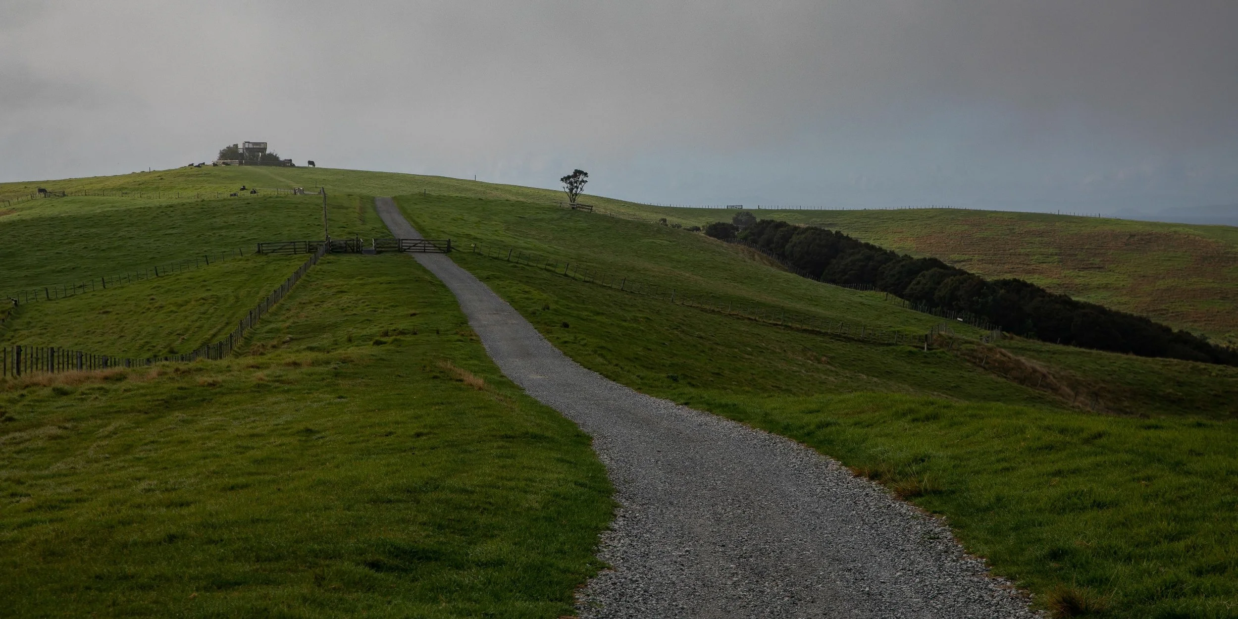 Shakespear Regional Park,-013.JPG