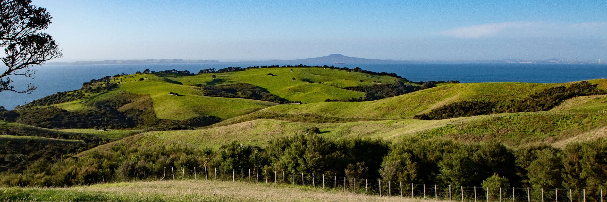 Shakespear Regional Park,-108.JPG