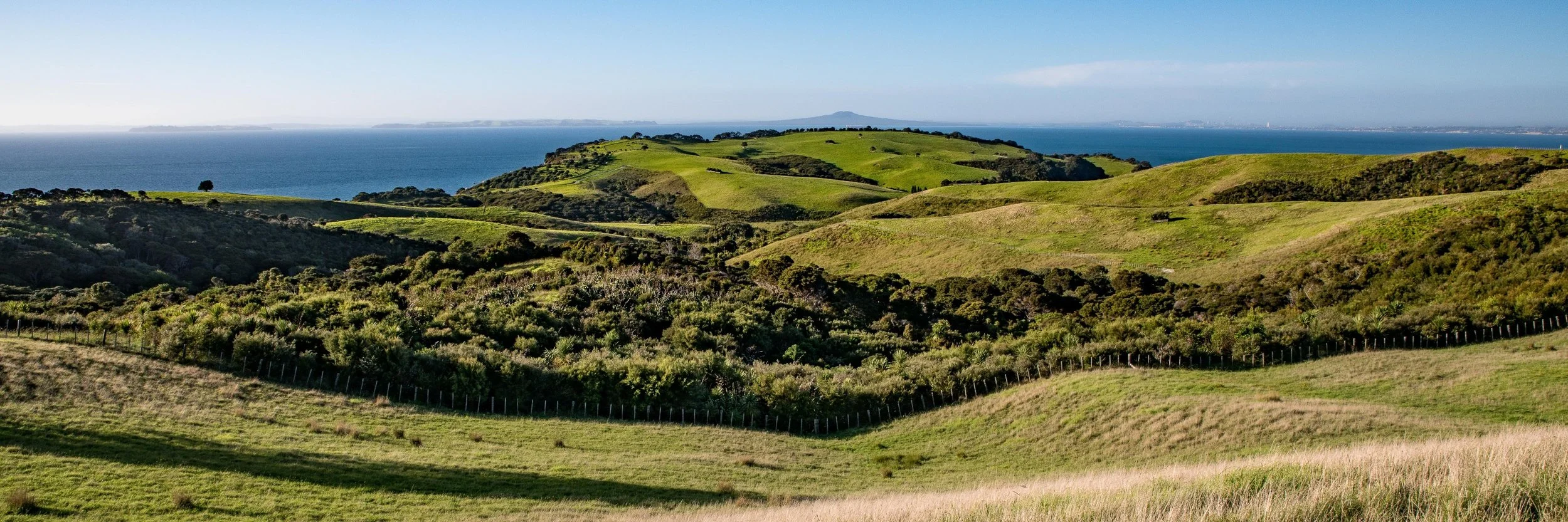 Shakespear Regional Park,-839.JPG