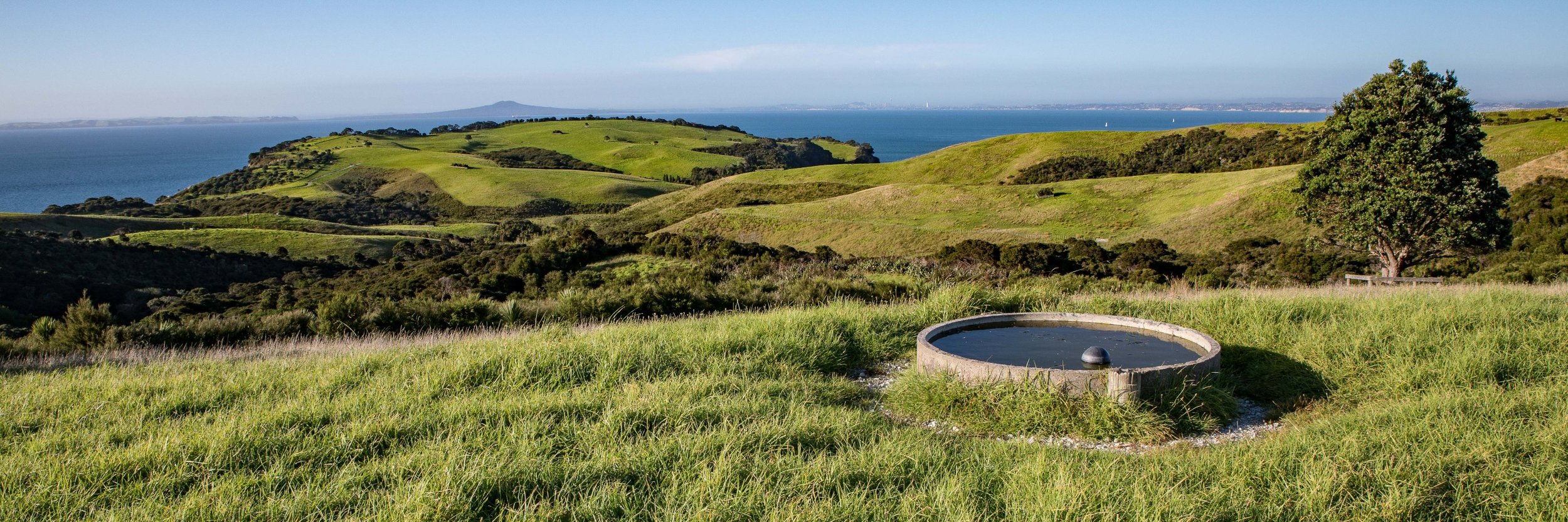 Shakespear Regional Park,-840.JPG